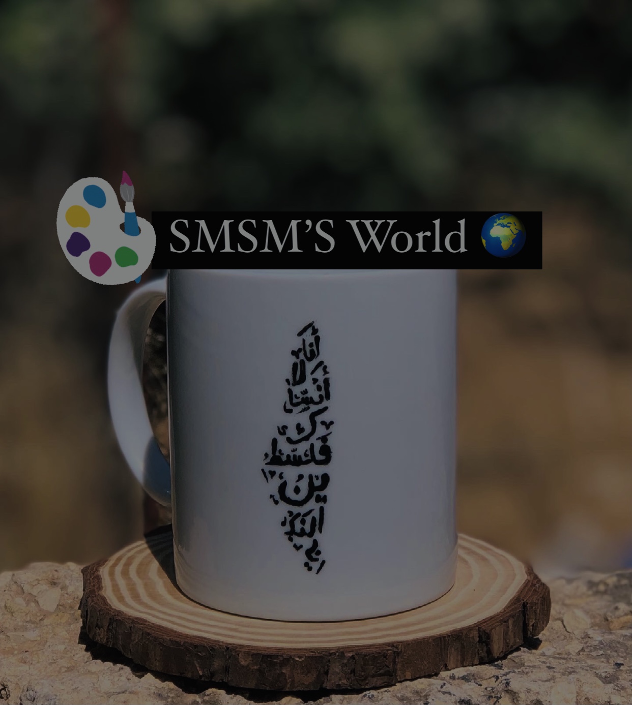 Smsm’s  World 🌍